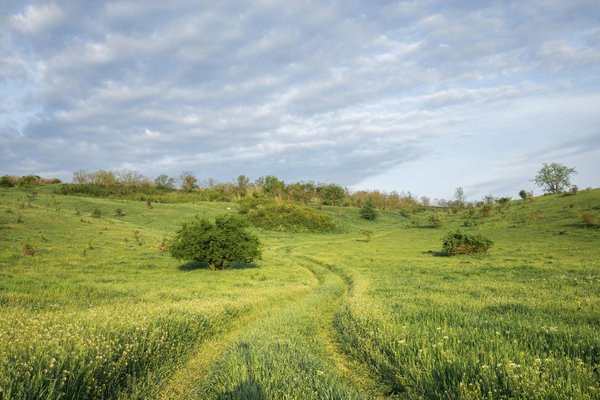 How do UK cruises provide a taste of local cuisine?